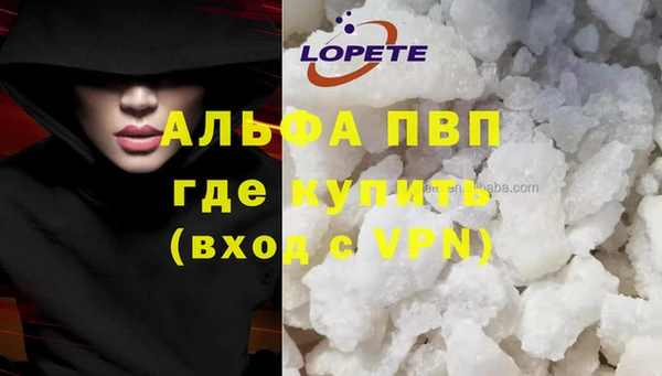 сатива Алексин