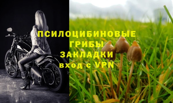 сатива Алексин