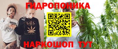 винт Владимир