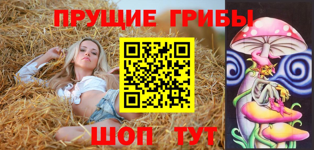 Псилоцибиновые грибы Cubensis Киржач