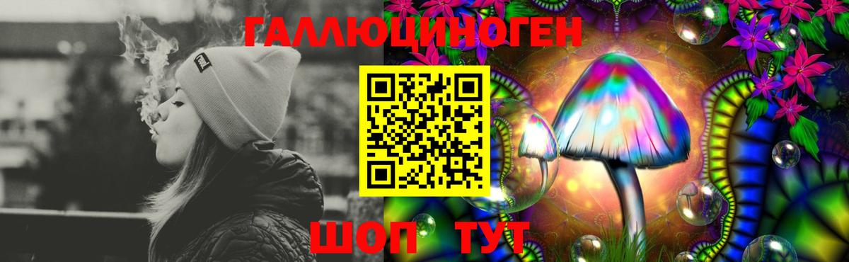 Галлюциногенные грибы прущие грибы  Вход с VPN  Киржач 